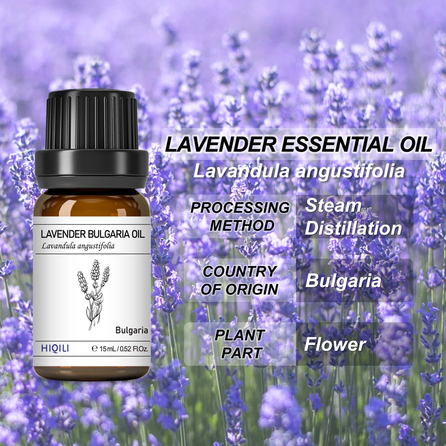 Minyak Esensial Lavender HIQILI Bulgaria